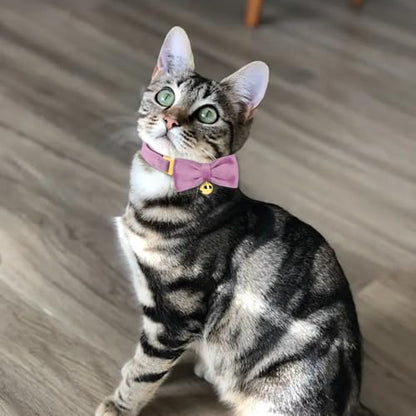 Personalized Cat Collar with Name Plate,Adjustable Tough Nylon Cat ID Collars with Bell,Customize Engraved Pet Name and Phone Number (Velvet Style B)