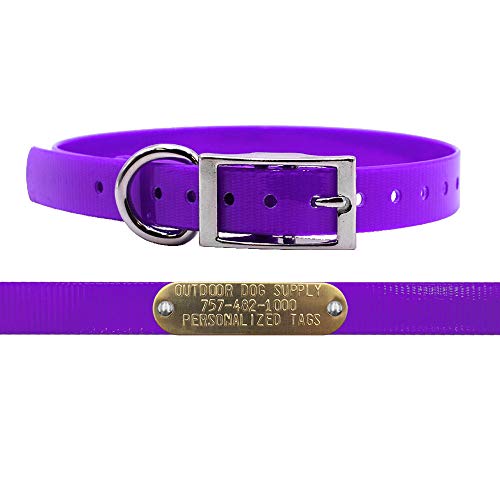 3/4" Waterproof D-Ring Dog Collar Adjustable Fit for Small & Medium Breeds | Custom 3/4" Brass Nameplate – Durable, Odor-Resistant, USA-Made (18", Purple) - color: Purple, size: 18" Long