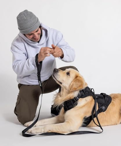 2026 New Edition, Fei & Eve MagEase Dog Harness - Instant Magnetic Buckle | 3-Point No-Pull Control | Heavy-Duty 900D Nylon | Dual Safety Handles | Breathable Mesh | Adjustable Fit | Large,Black - color: Black, size: L