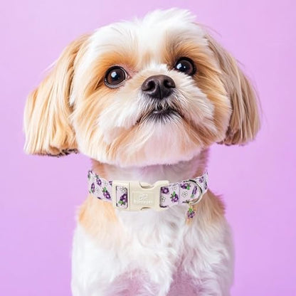 Summer Dog Collar Cute Grape Dog Collars for Puppy Small Dogs - Lightweight Adjustable Boy Girl Dogs Everyday Collar with Quick Release Buckle XS - color: Cute Grape, size: XS