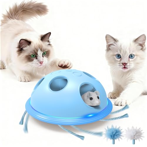 Pawingcat Automatic Cat String Toy 6 Holes Whack a Mole Cat Toy with Plush Running Cat Mouse Toy Hide and Seek Interactive Cat Toys for Indoor Cats（Blue） - color: Blue