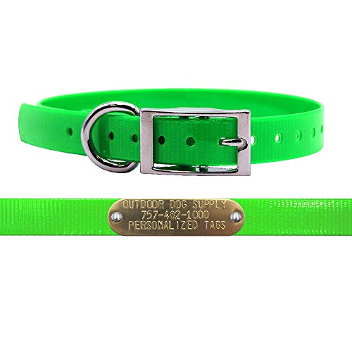 3/4" Waterproof D-Ring Dog Collar Adjustable Fit for Small & Medium Breeds | Custom 3/4" Brass Nameplate – Durable, Odor-Resistant, USA-Made (15", Lime Green) - color: Lime Green, size: 15" Long