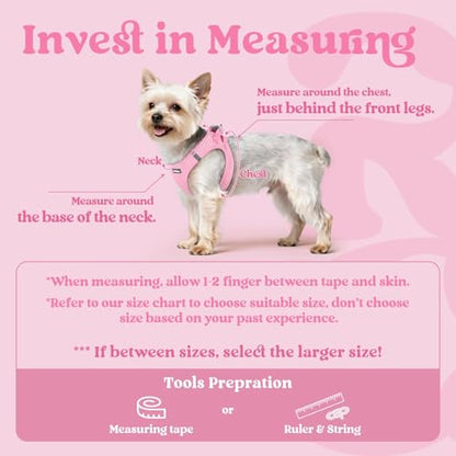 rabbitgoo Small Dog Harness, Step-in Soft Mesh Puppy Vest with Safety Buckle, Breathable Reflective Pet Harness for Small Sized Dogs, Light Pink XS - color: Light Pink, size: Xs(chest:13.3"-15.5")