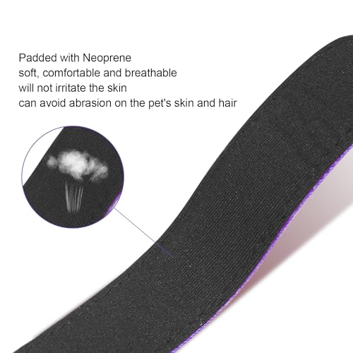 Dog Collars Adjustable for Medium Dogs,Heavy Duty Waterproof Dog Collar with Quick Release Buckle,Girl Boy Female Male Reflective Nylon Dog Collar with Soft Neoprene Padded,M,Purple - color: Purple, size: Medium