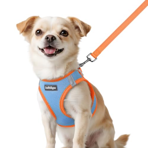 rabbitgoo Dog Harness Small Sized and Leash Set, Step-in Breathable Pet Harness, Soft Walking Reflective Puppy Vest for Small Dogs, Light Blue & Orange, XXS - color: Light Blue & Orange, size: XXS (Chest: 12.4 - 14.2")