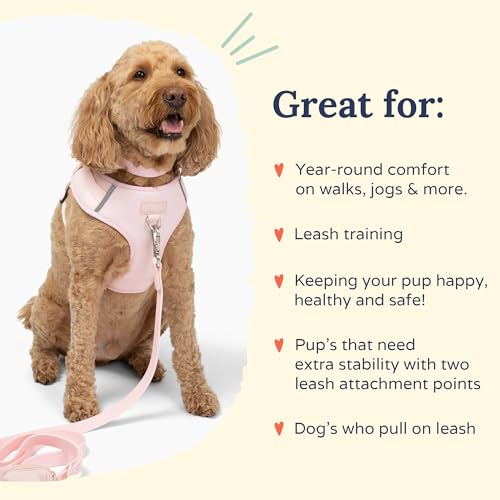 Lucy & Co. The Rosewater No-Pull Dog Harness - Size Small - Vest to Stop Pulling & Walk Easy - Comfortable Leash Training Product w/Adjustable Chest & Neck Straps - color: The Rosewater No-Pull Harness, size: Small