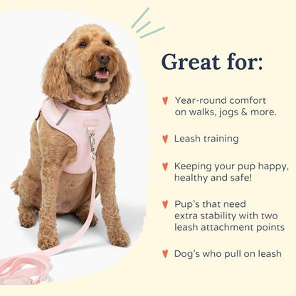 Lucy & Co. The Rosewater No-Pull Dog Harness - Size Small - Vest to Stop Pulling & Walk Easy - Comfortable Leash Training Product w/Adjustable Chest & Neck Straps - color: The Rosewater No-Pull Harness, size: Small