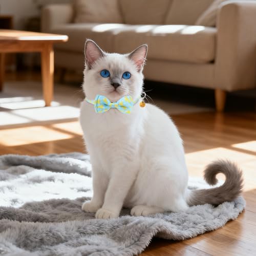 Breakaway Cat Collar with Removable Bow Tie and Bell, Cute Multi-Style Patterns, 3 Pack Safety Buckle Kitten Collars, Adjustable Pet Collar for Cats Puppy (Style B - Fruit) - color: Style B - Fruit