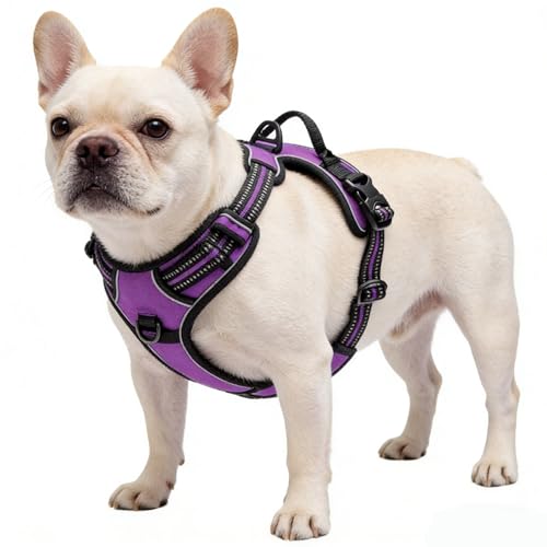 Purple No-Pull Dog Harness with 2 Leash Clips，Soft Padded Vest for Small Dog, Adjustable Reflective Dog Vest Easy to Put on and Take Off,(Neck: 13"~17", Chest: 17"~21",Purple Small) - color: Purple, size: Small