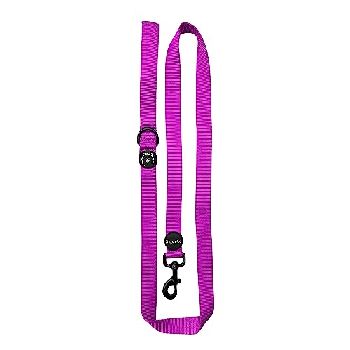 ShawnCo Dream Walk Dog Leash- Premium, Nylon Pet Leash with Soft Neoprene Handle for Small, Medium and Large Dogs (Orchid, Small) - color: Orchid, size: Small
