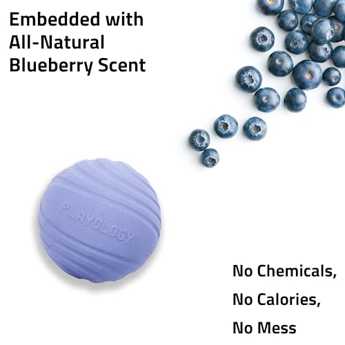 Playology Dog Toys | Dual Layer Ball Durable Chew Toy for Tough Chewers | Blueberry Scented Medium Dog Toy | Chew Toys for Dogs - size: Medium, style: Blueberry
