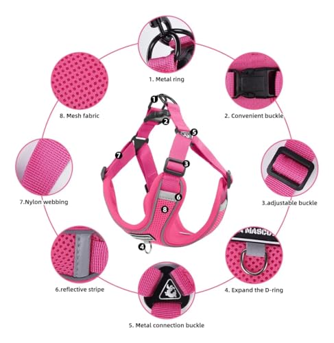 Dog Harness and Leash Set, Adjustable Triangle, Reflective Adjustable Puppy Vest, No Pull Soft Mesh Harness for Small, Medium Dogs, Cats (Fuchsia, XL) - color: Fuchsia, size: XL