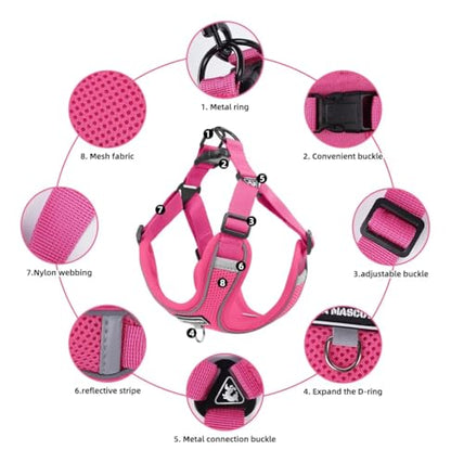 Dog Harness and Leash Set, Adjustable Triangle, Reflective Adjustable Puppy Vest, No Pull Soft Mesh Harness for Small, Medium Dogs, Cats (Fuchsia, L) - color: Fuchsia, size: L