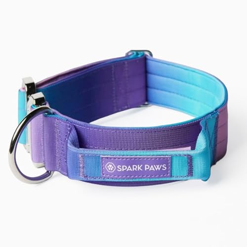 Spark Paws Tactical Dog Collar - Heavy Duty, Premium Quality, Thick and Durable for Large and Medium Dogs - 90's Retro - M - color: 90s Retro, size: M: 18"-22" [2" wide]
