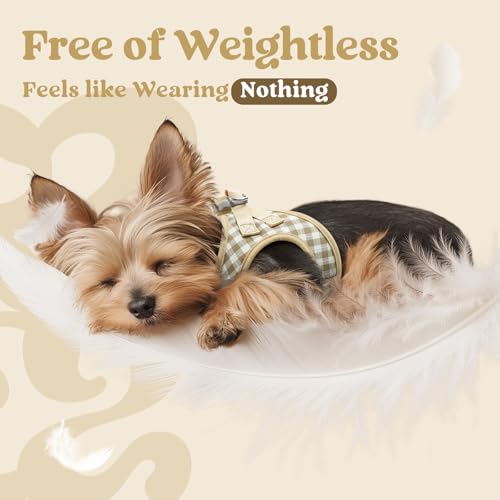 rabbitgoo Small Dog Harness, Step-in Soft Mesh Puppy Vest with Safety Buckle, Breathable Reflective Pet Harness for Small Sized Dogs, Beige Plaid S - color: Beige Plaid, size: S(chest:15.1"-16.5")