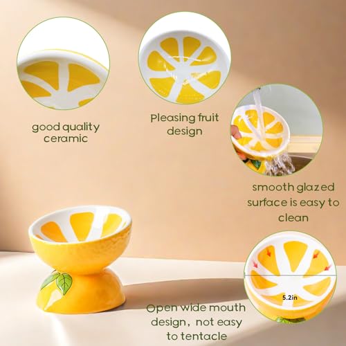 Hamiledyi Ceramic Raised Cat Bowl 5In Elevated Wide Cat Bowl for Food and Water Anti Vomiting Tilted Pet Feeder Dish for Indoor Cats and Small Dogs(Lemon)