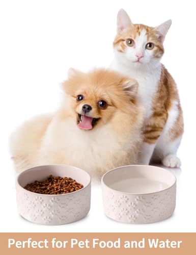 UBEE Small Dog Bowls Set of 2, 5.1 inch Ceramic Dog Dish Food Bowl, Pet Food Water Dish Feeding for Small Dogs and Large Cat, Paw Pattern, 5.1 in-Small, White - size: 5.1 in-Small