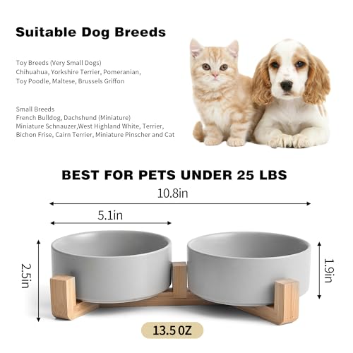 Mowtanco Grey Ceramic Dog & Cat Bowl Set – 13.5 OZ with Wooden Stand, Non-Slip, Elevated Design for Small Dogs & Cats – 2 Bowls (Food & Water, Ceramic Pet Bowls, Modern Dog Bowls) - color: Gray × 2