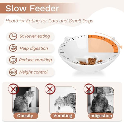 7 Inch Extra Wide Detachable Slow Feeder, Cat Bowl- Elevated Cats Feeder Tilted, Large Raised Cat Food Bowl Whisker Friendly, for Indoor Cats and Small Dogs Anti-Vomiting White - color: White