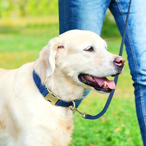 Genuine Leather Dog Collar - Adjustable Pet Collar with Quick Release Metal Buckle, Soft Skin Friendly Real Leather Collar for Small, Medium, Large Dogs (Blue, M：Fit 12-20" Neck) - color: Blue, size: M：Fit 12-20" Neck