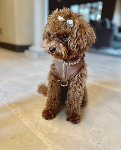 Premium No-Pull Dog Harness Soft Neoprene & Breathable Mesh Vest with Front & Back Clip D-Rings Adjustable Lightweight Walking Harness for Puppies, Small & Medium Dogs (Bronze Brown Gold, S) - color: Bronze Brown Gold, size: S: Neck=13.8-17.3''/Chest=16.1