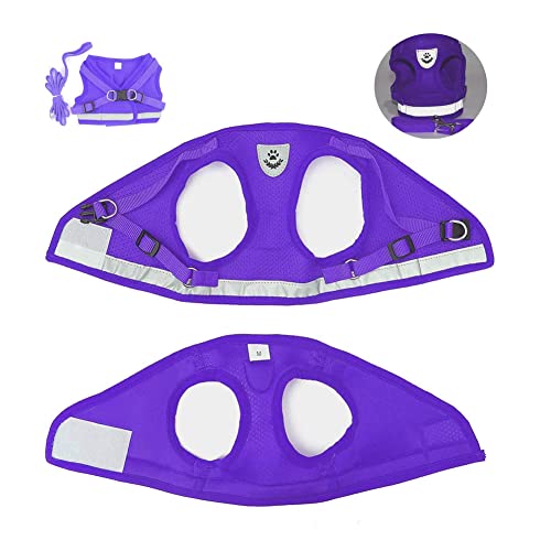 Dog Harness and Leash Set for Walking, Soft Mesh Adjustable Easy Control Lightweight Cat Vest Harnesses with Reflective Strips, Escape Proof Small Dogs Cats Vests - color: Purple, size: Medium
