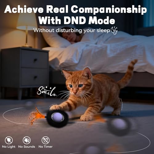 Interactive Cat Toy with Motion Activated Ball & 7 Holes Maze Mat, Hide and Seek Exercise Game for Indoor Cats, Automatic Moving Cat Ball Toy in Pouch, Rechargeable Kitten Toys, Mouse Catching Game - color: No Cat No Life