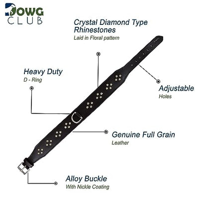 Genuine Leather ‘Cupola’ Series Dog Collar | Rhinestone | Soft, Cushion Padding, Handmade | Leather Dog Collar for XL Breeds (XL (Neck Size 22.5"-25.5"), Silver Rhinestones, Crimpson) - color: Silver Rhinestones, Crimpson, size: XL (Neck Size 22.5"-25.5")