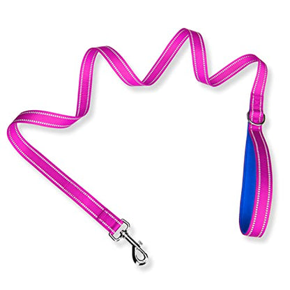 PHOEPET 5 Feet Dog Leash - Dual-Side Reflective - Soft Padded Handle - Fit for Walking, Training or Exploring Hiking, Camping (Pink + Royal Blue Base) - color: Pink + Royal Blue Base