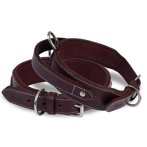 Leather Dog Collar with Handle, 2 Inch Wide Saddle Grade Cherry Leather Dog Collar for Medium Dogs | Heavy Duty, Comfortable, Inner Soft Padded | (M (Fit Neck Size 14.5"-18.5"), Cherry) - color: Cherry, size: M (Fit Neck Size 14.5"-18.5")