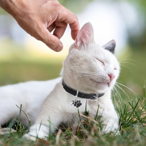 SCENEREAL Leather Cat Collar with Bell and Rivet, Personalized Stud Pet Collars with Safety Elastic Belt and Cute Paw Charm, Adjustable Soft Kitten Puppy Accessories for Boys Girls Cats, Black - color: Black