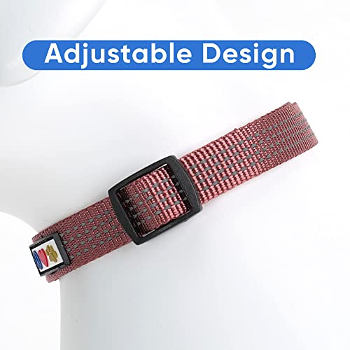 Pawtitas Reflective Dog Collar for X-Small Dogs – Adjustable Nylon Puppy Collar with Quick-Release Buckle | Fits Neck 8–13 in | Night Safety Training Collar | XS | Marsala - color: Marsala, size: X-Small (Pack of 1)