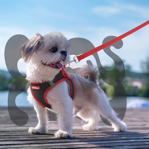 rabbitgoo Dog Harness Small Sized and Leash Set, Step-in Breathable Pet Harness, Soft Walking Reflective Puppy Vest for Small Dogs, Black & Red, XS - color: Black & Red, size: XS (Chest: 13.3 - 15.5")