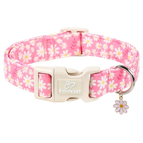 Daisy Dog Collar Pink Girl Dog Collars for Puppy Small Dogs - Lightweight Adjustable Spring/Summer Floral Female Dogs Everyday Collar with Safety Buckle XS - color: Dasiy, size: XS