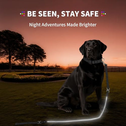 Night Walking LED Dog Leash - 6FT Reflective & Waterproof Light Up Safety Leashes for Dogs - USB Rechargeable, White - color: White(Fiber optic version)