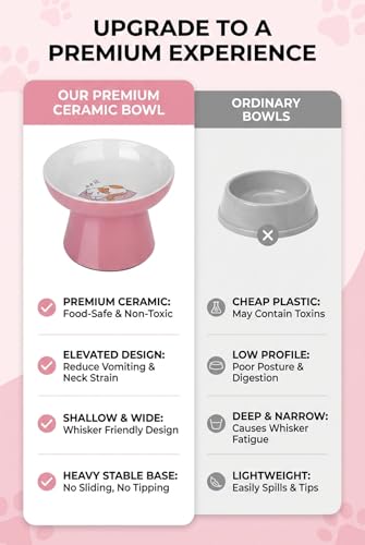 Raised Cat Food Bowl – Ceramic Elevated Cat Bowl for Whisker & Neck Fatigue,Non-Slip & Anti Vomiting Pet Feeder for Kittens to Adult Cats and Small Dogs,Dishwasher Safe(Pink) - color: Pink
