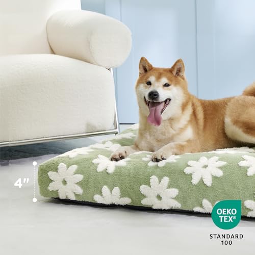 LE SURE Dog Beds Large Sized-Thick Shredded Chopped Foam Pet Bed Indoor as Bed Gift with Removable Cover, Cute Modern Fuzzy Plush & Anti Slip Bottom, Green - color: Green, size: 35.0"L x 22.0"W x 4.0"Th