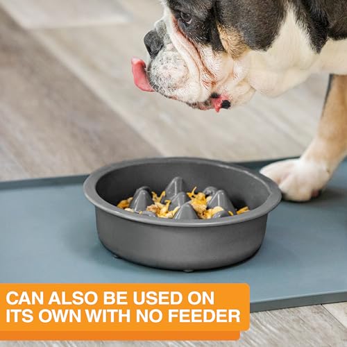 The Niner Slow Feed Bowl - Raised Peaks Slow Down Pets Eating - Fits Elevated Feeders Including Neater Feeder Large Sizes - Gentle on Teeth and Gums - Holds up to 2 Cups (Gunmetal Grey) - color: Gunmetal Grey