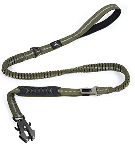 Raipult Tactical Dog Leash Heavy Duty, 4-6FT Shock Absorbing Bungee Leash with Quick Release Clip& 2 Handles, No Pull Waking Lead with Car Seatbelt for Medium Large Dogs that Pull,Green - color: Ranger Green