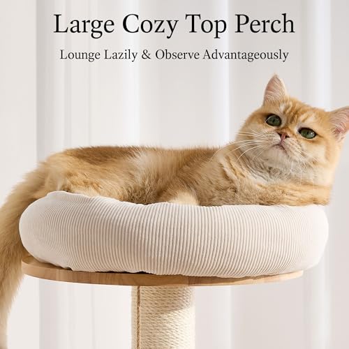 797Audio Wood Modern Cat Tree, 61.5" Tall Cat Tower with Sisal Scratching Posts, Cat Condo, Capsule and Ladder, Solid Wooden Aesthetic Multi-Level Cat Climbing Tree for Large Adult Indoor Cats - color: 62 Inch