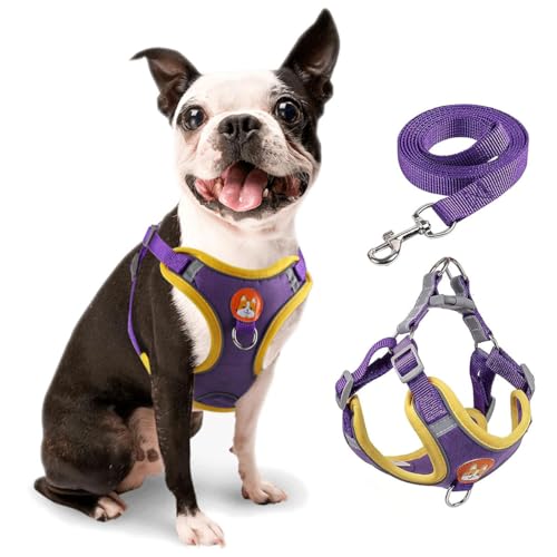 Adjustable No-Pull Dog Harness for Small and Medium Dogs, Comfortable Reflective Vest with Leash Set and Dual Clips, Secure and Lightweight Pet Walking Gear