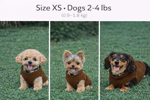 JACKO & CO - Fleece Vest Dog Sweater with Leash Ring - Soft, Warm & Lightweight Pullover Coat for Small & Medium Dogs, Puppies & Cats - Cozy Fall/Winter/Spring Pet Jacket (Chocolate Brown, XS (2-4lbs) - color: Chocolate Brown, size: XS (2-4lbs)