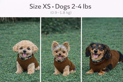 JACKO & CO - Fleece Vest Dog Sweater with Leash Ring - Soft, Warm & Lightweight Pullover Coat for Small & Medium Dogs, Puppies & Cats - Cozy Fall/Winter/Spring Pet Jacket (Chocolate Brown, XS (2-4lbs) - color: Chocolate Brown, size: XS (2-4lbs)