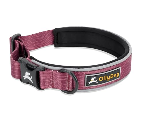 OllyDog Flagstaff Reflective Comfort Collar, Neoprene Padded Dog Collar, Reflective Trims for Night Runs, Extra Comfort for Active Dogs (Small, Rosewood Woodgrain) - color: Rosewood Woodgrain, size: Small