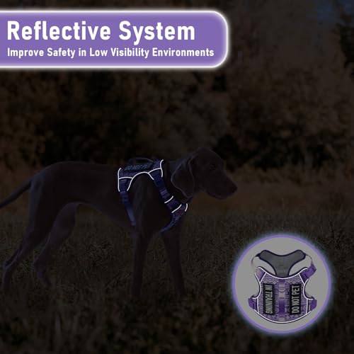 Tactical Dog Harness X-Large No Pull Easy Walker, Escape Proof Harness Vest with Handle, Reflective Vest with 2 Leash Clips and 3 Buckles, Newfoundland Alaska German Shepherd Mastiffs, XL - color: Purple Ethnic, size: Extra Large