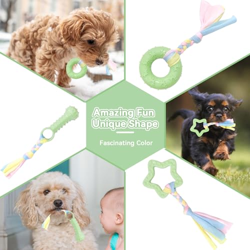 Petcare 6 Pack Small Dog Toys for Small Breed, Cute Green Puppy Teething Toys, Rubber Chew Toys, Essentials to Keep Them Busy, Best Pet Birthday Dog Toys - color: Green