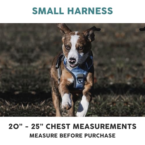 Embark Adventure Small Dog Harness – No-Pull, Reflective Trim, Military-Grade Nylon, Front Clip with Gel-Lined Handle - color: Santa Monica, size: S