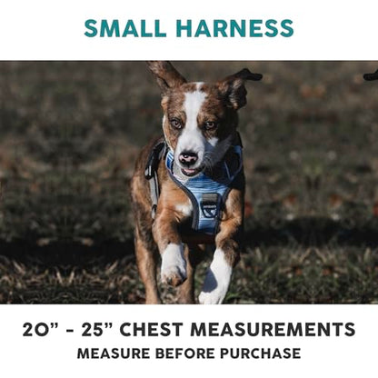 Embark Adventure Small Dog Harness – No-Pull, Reflective Trim, Military-Grade Nylon, Front Clip with Gel-Lined Handle - color: Santa Monica, size: S