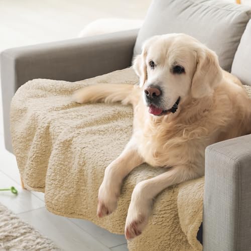 furrybaby Dog Blanket Soft Dog Blankets for Large Dogs Puppy Essentials Washable Sherpa Fleece Cat Blanket 41x65 Inches for Bed Furniture Couch Sofa (X Large, Beige) - color: Beige Blanket, size: 41x65in (pack of 1)