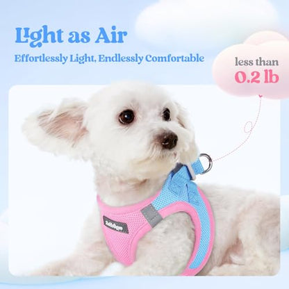 rabbitgoo Dog Harness Small Sized and Leash Set, Step in Soft Light Puppy Vest, Breathable Mesh Pet Harness, Reflective for Safe Easy Walking, Blue & Light Pink S - color: Blue & Light Pink, size: S (chest: 15.1 - 16.5")